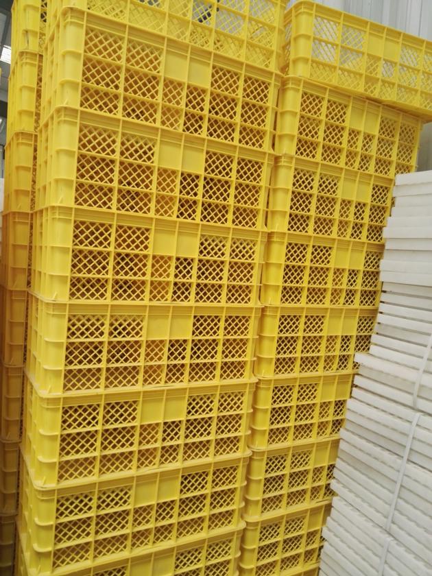 Egg Transportation Crates