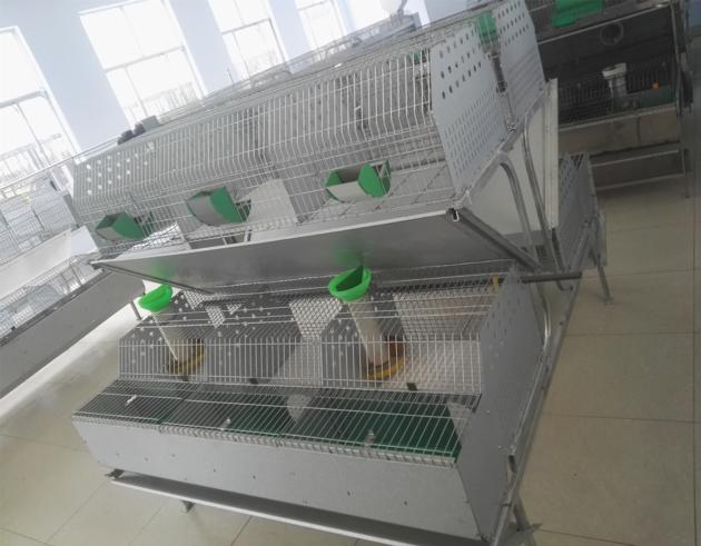 Automatic Rabbit Breeding Cages