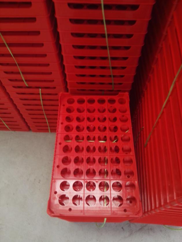 Chicken Plastic Egg Tray 60 Holes