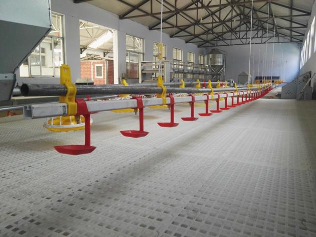 Poultry Drinking Line Nipple Drinkers