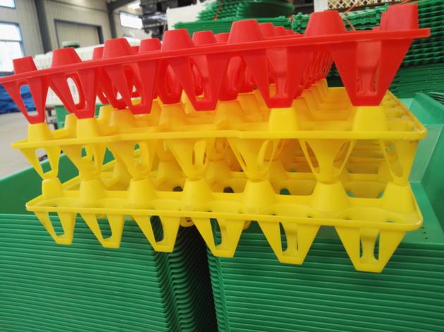 Plastic Egg Tray For Chicken Eggs
