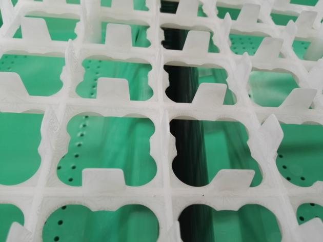 Chicken Plastic Egg Tray 36 Holes