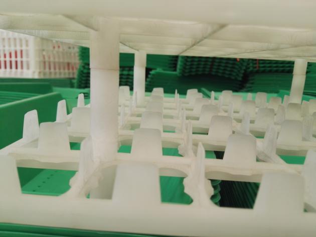 Chicken Plastic Egg Tray 36 Holes