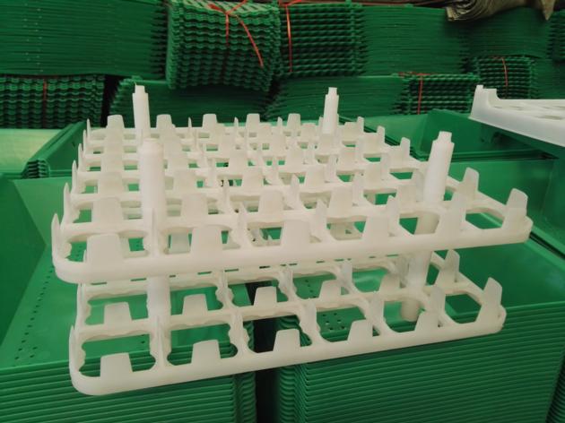 Chicken Plastic Egg Tray 36 Holes