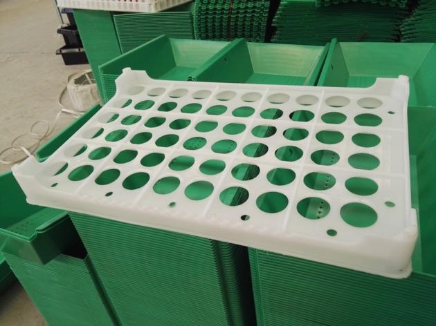 Chicken Plastic Egg Tray 60 Holes