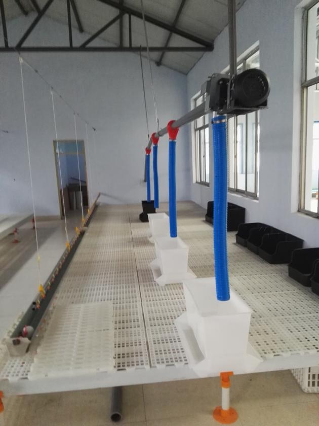Plastic Slatted Floor For Poultry Farming