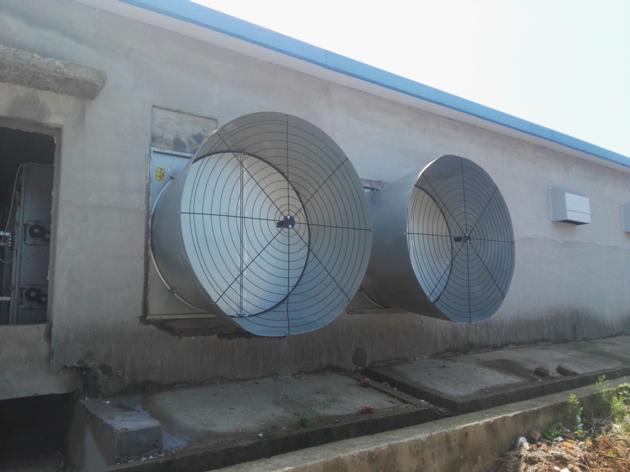 ventilation equipment for poultry house