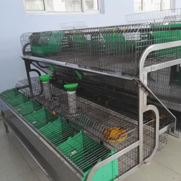 Automatic Rabbit Breeding Cages
