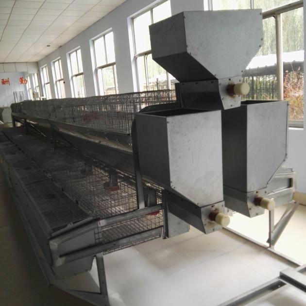 Automatic Rabbit Breeding Cages