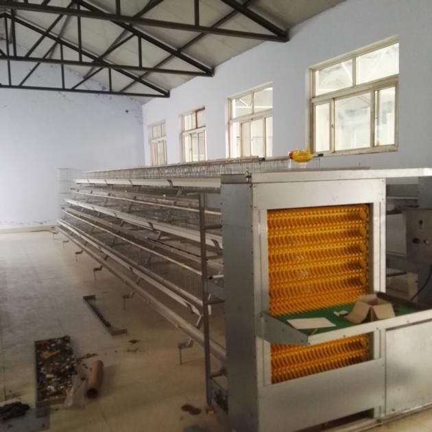 A Type Automatic Chicken Cages Duck