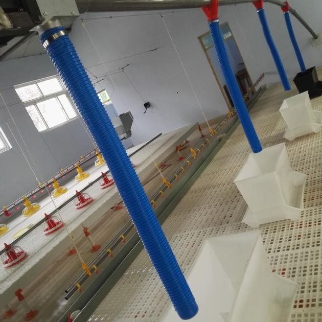Duck Automatic Feeding Line