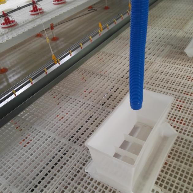 Duck Automatic Feeding Line