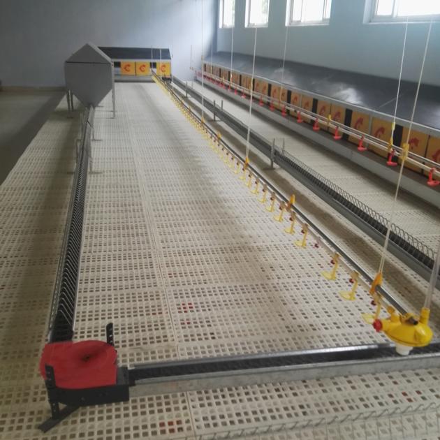 Plastic Slatted Floor For Poultry Farming