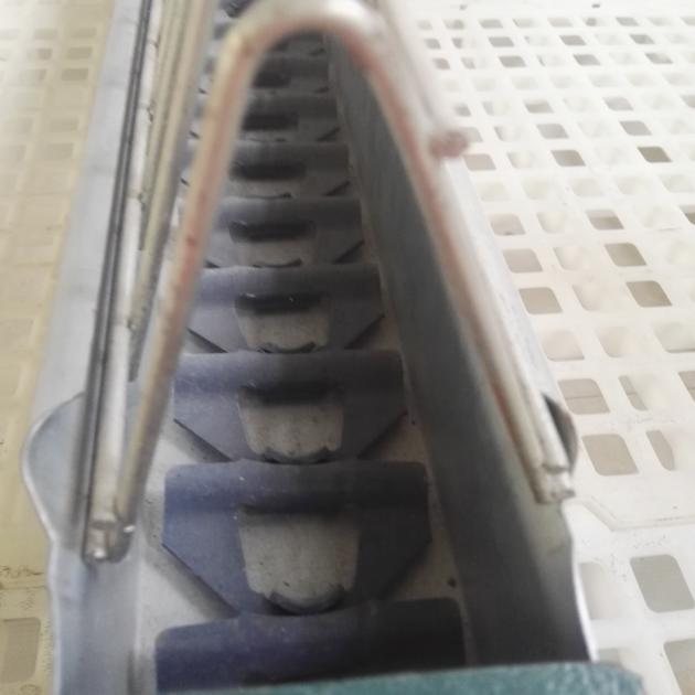 Broiler Chicken Chain Feeding System