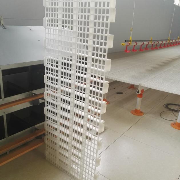Plastic slatted floor for poultry farming