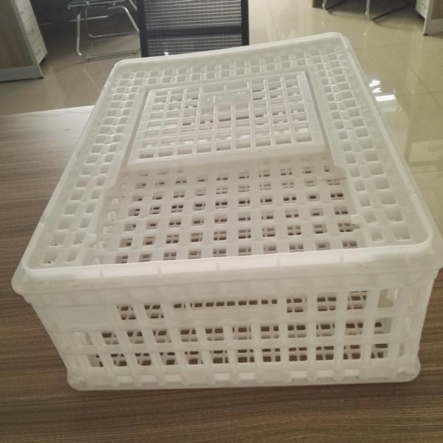 Plastic Crates For Duck Goose Transportation