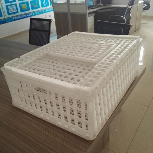 plastic crates for live chicken transportation