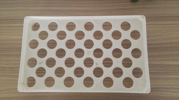 Duck Plastic Egg Tray 42 Eggs