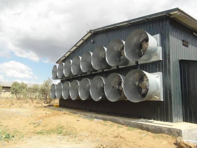 Ventilation Equipment For Poultry House
