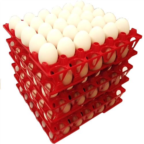 Plastic Egg Tray For Chicken Eggs