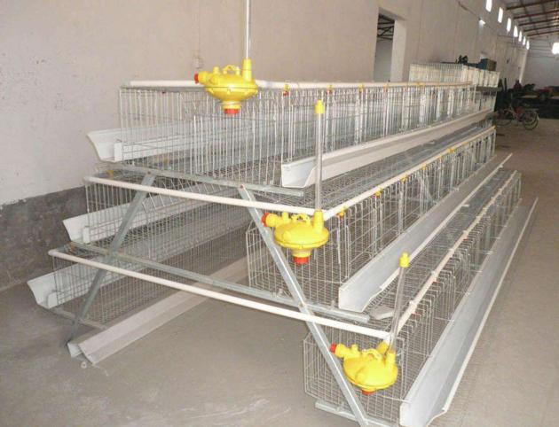 A type automatic chicken cages duck cages