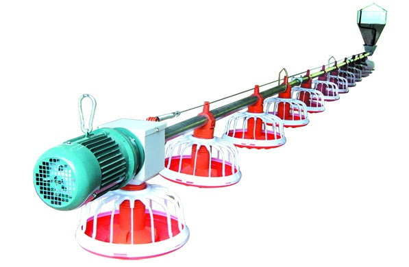 chicken pan feeding system food tray