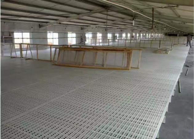 Plastic Slatted Floor For Poultry Farming