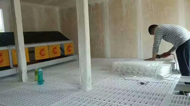 Plastic Slatted Floor For Poultry Farming