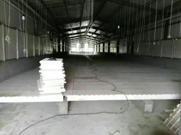 Plastic Slatted Floor For Poultry Farming