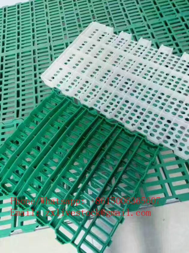 Plastic Slat Floor For Goat