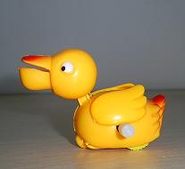 cochain pelican