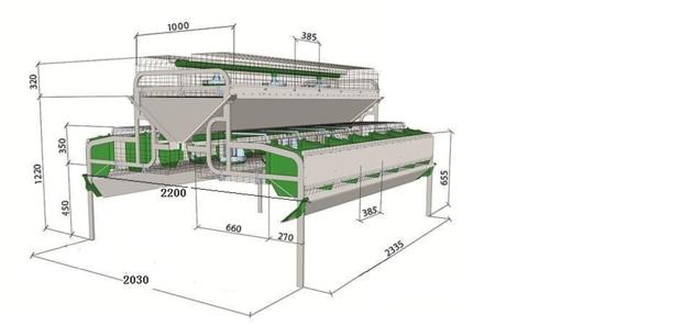 automatic rabbit breeding cages