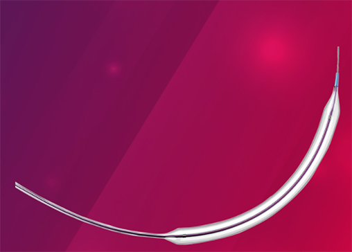PTA Balloon Catheter