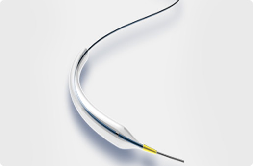 PTA Balloon Catheter