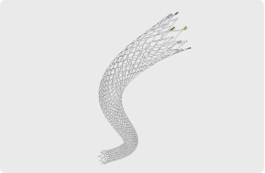 Peripheral Stent System