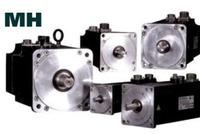 Emerson DC Servo Motor