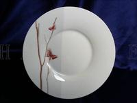 Strengthen porcelain, in-glazed, stoneware, Industrial ceramic