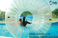 inflatable water roller