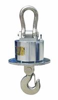Anti-hear wireless crane scale