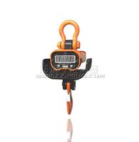 Anti-hear crane scale